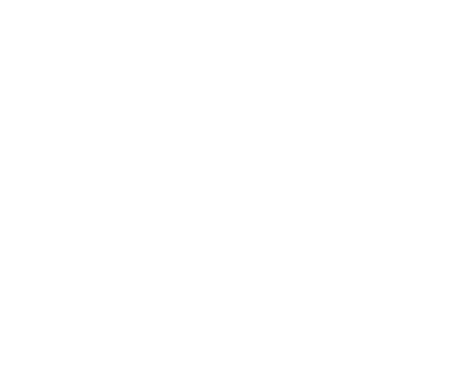 Logo BiB